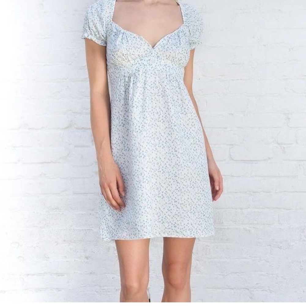 Brandy Melville White and Blue Floral Mini Dress